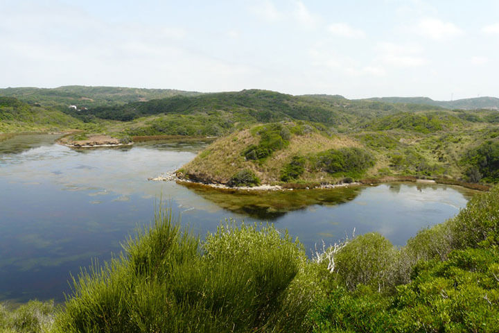 angeltourenmenorca.de Bootstouren auf Albufera des Grau Menorca