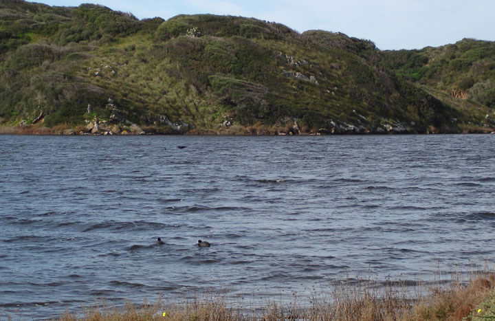 angeltourenmenorca.de Bootstouren auf Albufera des Grau Menorca
