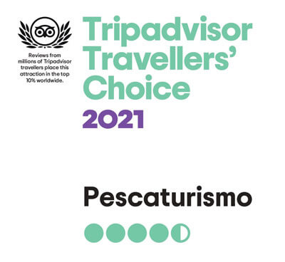 Angeltouren Menorca Preis Travellers' Choice von Tripadvisor